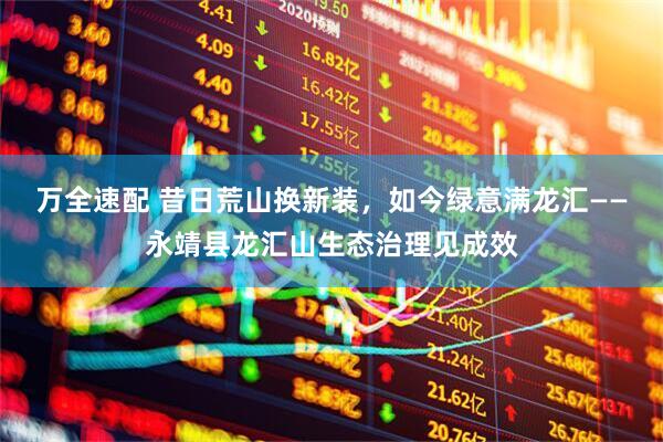 万全速配 昔日荒山换新装，如今绿意满龙汇——永靖县龙汇山生态治理见成效