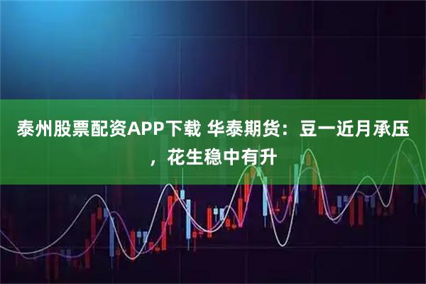 泰州股票配资APP下载 华泰期货:豆一近月承压,花生稳中有升